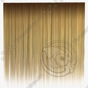 Blond Straight Hair Texture
