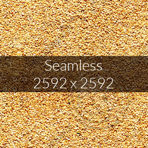 Sesame seed texture map 03