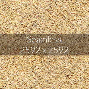 Sesame Texture map 02