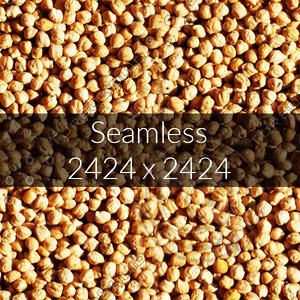 Kabuli Gram Texture 03