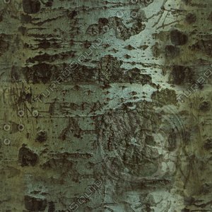 Tree Trunk III