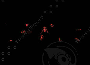 Animated Ant GIF