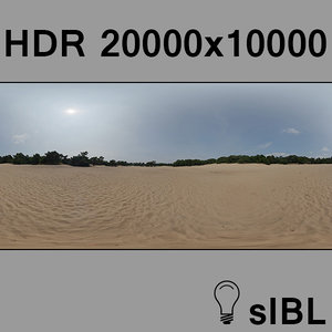 Forest on sand  panorama version A