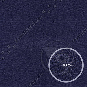 Blue Leather Texture Map