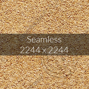 Sesame texture map 04