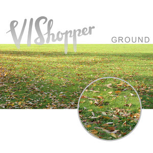 VIShopper ground