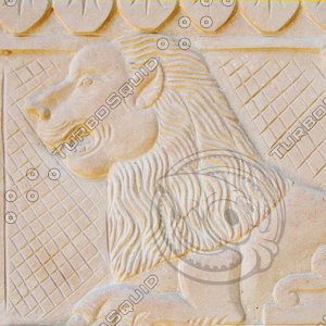 Loin Stone Art Texture 01