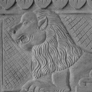 Loin Stone Art Texture 03