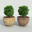 bushes pots 3d model
