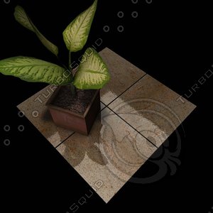 Granite_233 Vyara