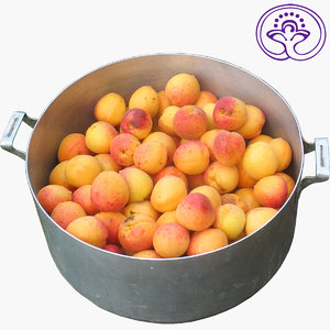 Apricots