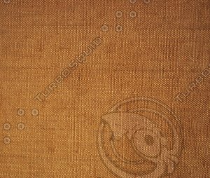 Fabric_Texture_0040