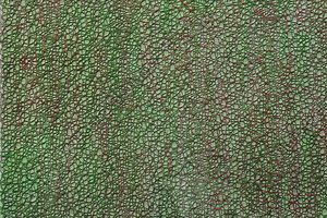 Abstract_Texture_0012