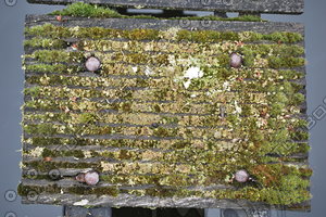 Harbour_Texture_0001