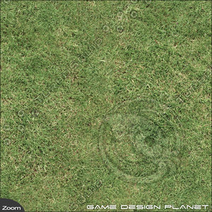 Grass 2