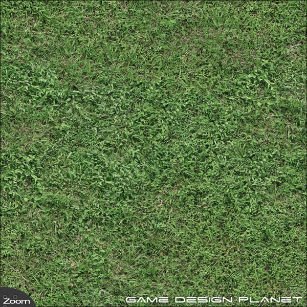 Texture JPEG grass landscape summer