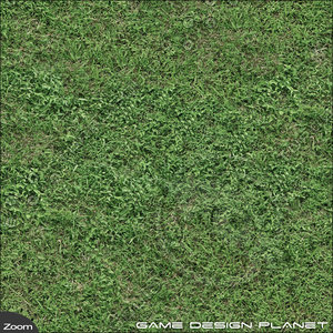 Grass 3