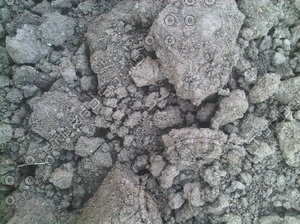 Soil Earth Soil