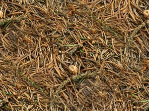 pile of needles tileable