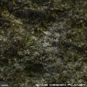 Moss Mountain Side