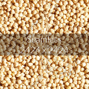 Kabuli gram texture map 02