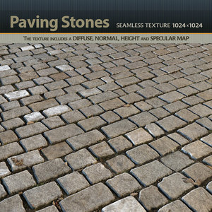 Paving Stones Texture