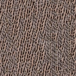 Cat fur