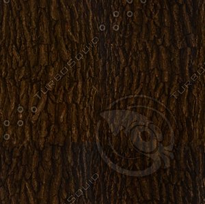 Tree Trunk HD