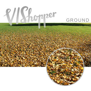 VIShopper ground