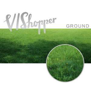 VIShopper ground