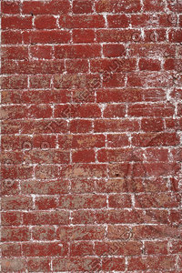 Brick Wall with lichen