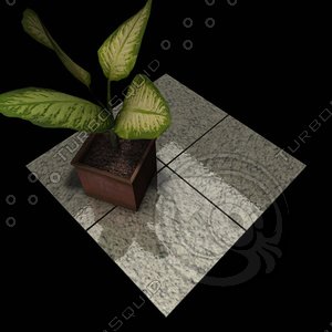 Granite_202 Solar White