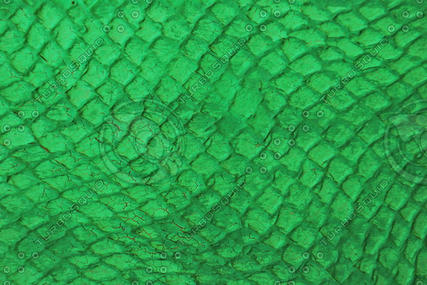 Texture JPEG hide texture reptile