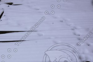 snowy surface