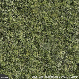 Grass 1