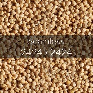Kabuli Gram Texture