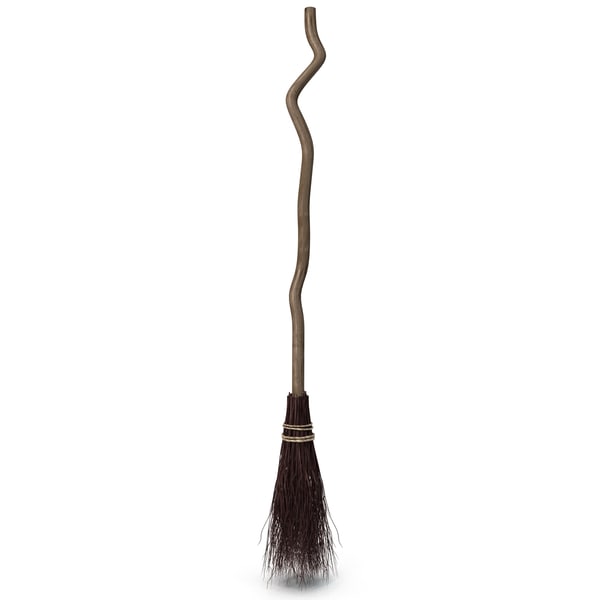 Witch Broom 3d Model