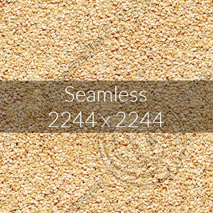 Sesame texture map 05