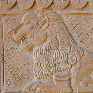 Loin Stone Art Texture 02