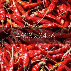 Red Indian Chili Texture Map