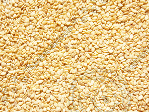 Sesame texture map 08