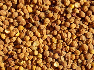 Brown Gram Texture Map 04