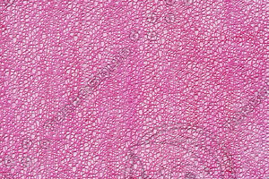 Abstract_Texture_0011