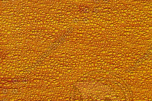 Abstract_Texture_0009