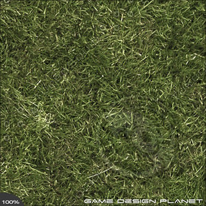 Grass 4