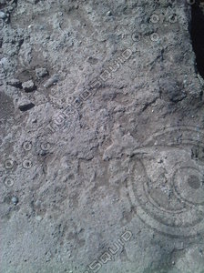 Stone s
