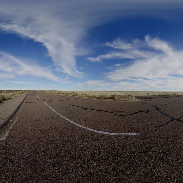 Texture petrified forest USA