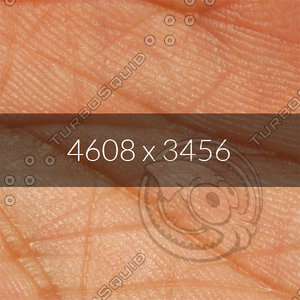 Palm Screen Texture