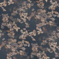 Freezing lake