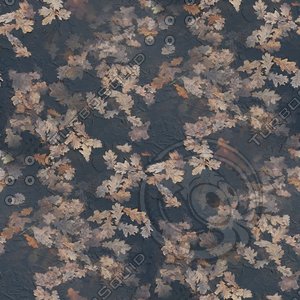 Freezing lake